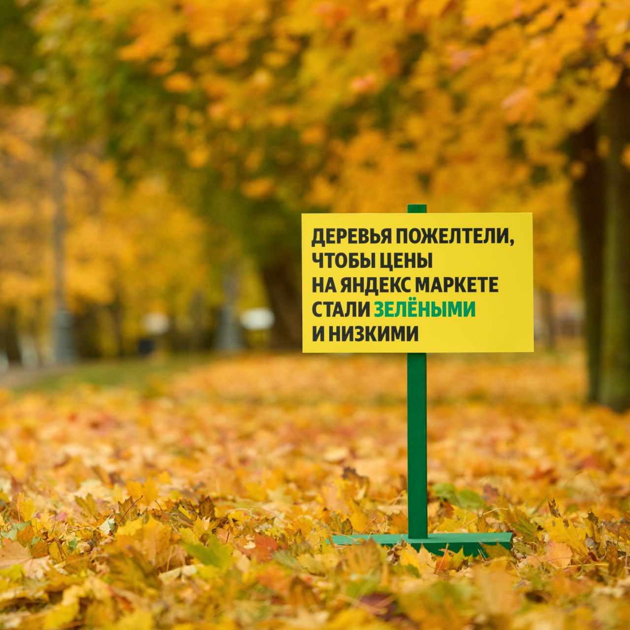 От гигантского к миниатюрному