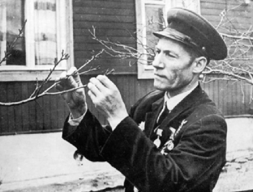 Иллюстрация к публикации от 2026-05-09