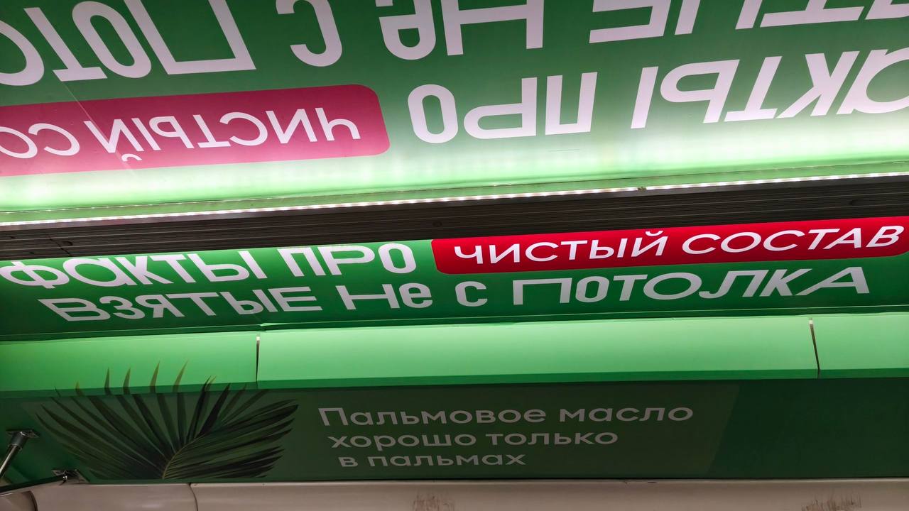 Иллюстрация к публикации от 2026-08-04